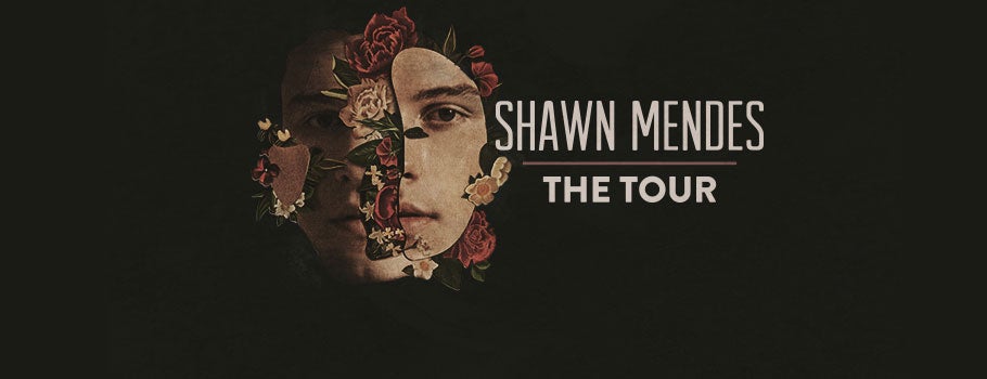 910x350-Shawn-Mendes-2018.jpg